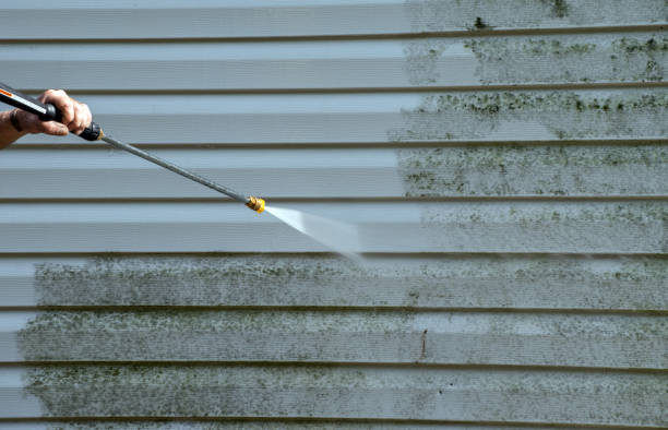 Best Local Pressure Washing Services  in Carrier Mls, IL