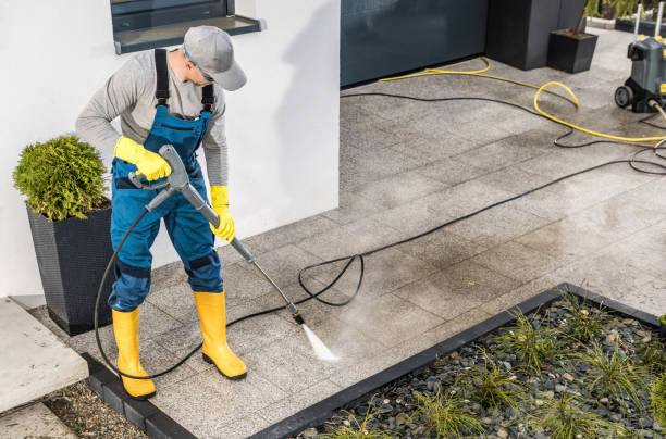 Best Best Pressure Washing Companies  in Carrier Mls, IL