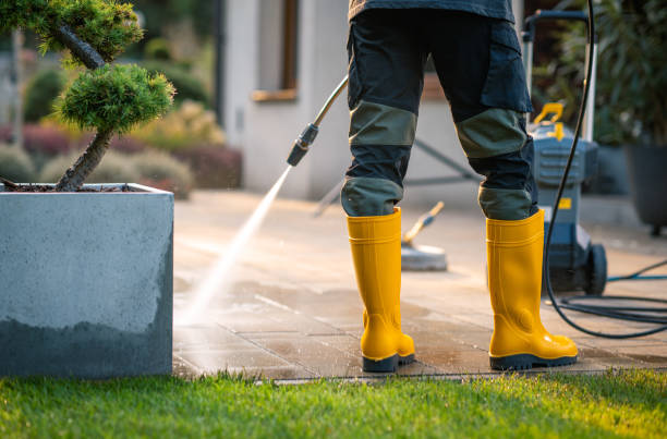 Best Affordable Pressure Washing  in Carrier Mls, IL